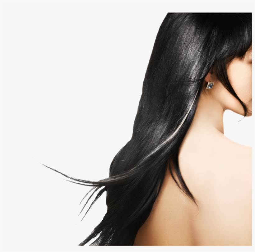 Backs Photo - Dom Nocy Tom 5 Osaczona - Cast P C Cast Kristin - Książka, transparent png download