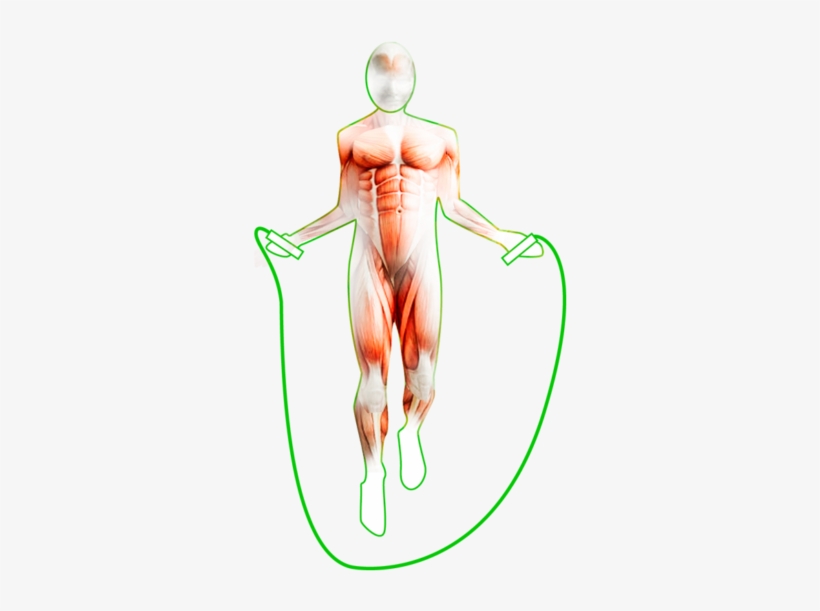 Pblx Jump Rope - Skipping Rope, transparent png download