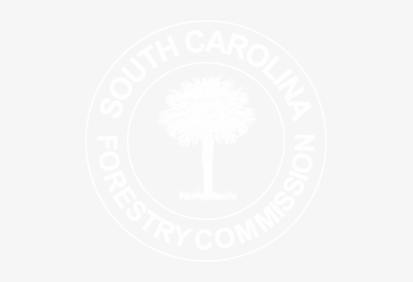 Woodford Reserve, transparent png download