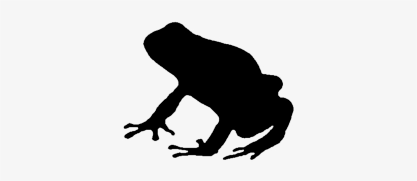 Tree Frog Clipart Silhouette - Poison Dart Frog Silhouette, transparent png download