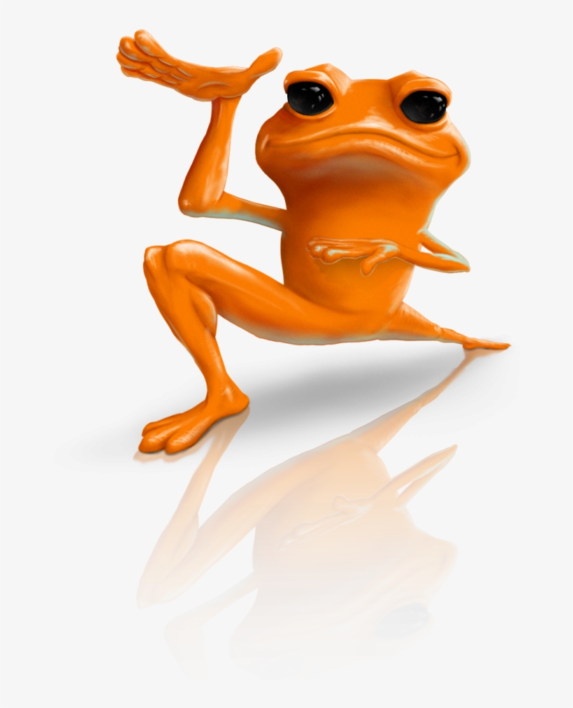 Golden Frog, Survival Character - Frog, transparent png download