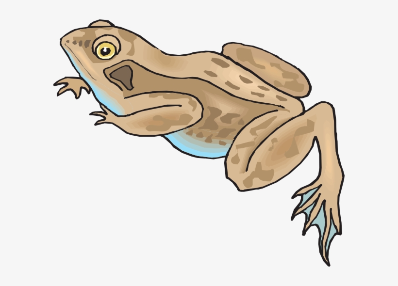 Brown And Blue Frog Svg Clip Arts 600 X 510 Px, transparent png download