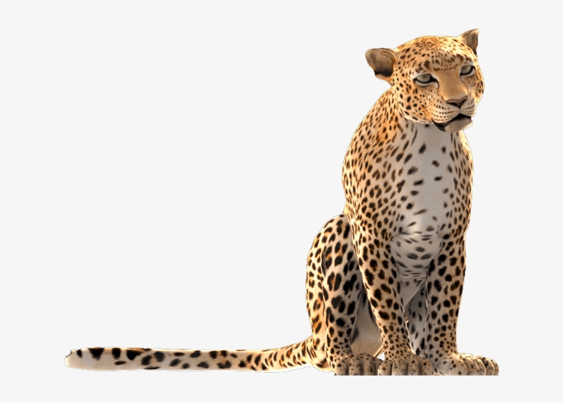 Conception Of A 3d Animation For Luxury Makers Dubai - African Leopard, transparent png download