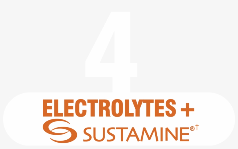 *cost Of Water & Bottle Not Included - Product, transparent png download