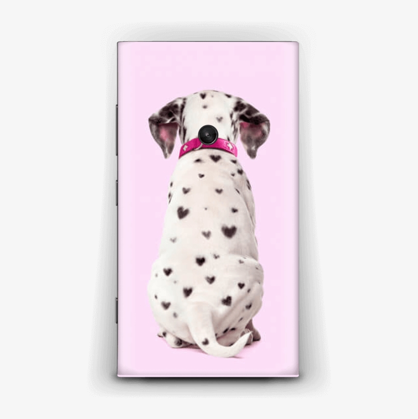 Dalmatian Love - Dalmatian Dog, transparent png download