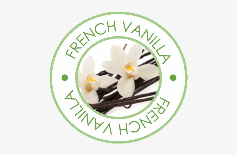 Description Vanilla PNG Image Transparent PNG Free Download on SeekPNG