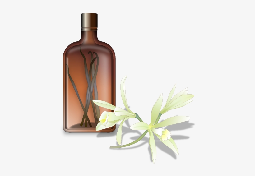 Glass Bottle, transparent png download