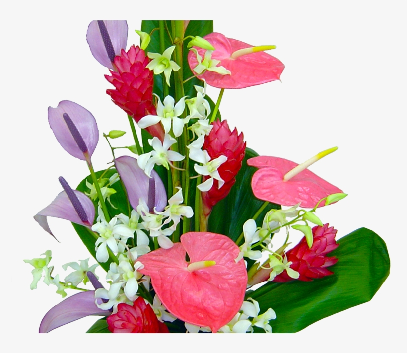 Lahaina Hawaiis Flowers Hawaii Flowers, Framed Wallpaper, - Floral Design, transparent png download