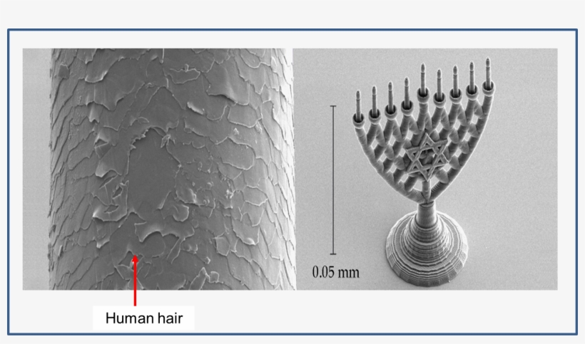 Menora - Trophy, transparent png download