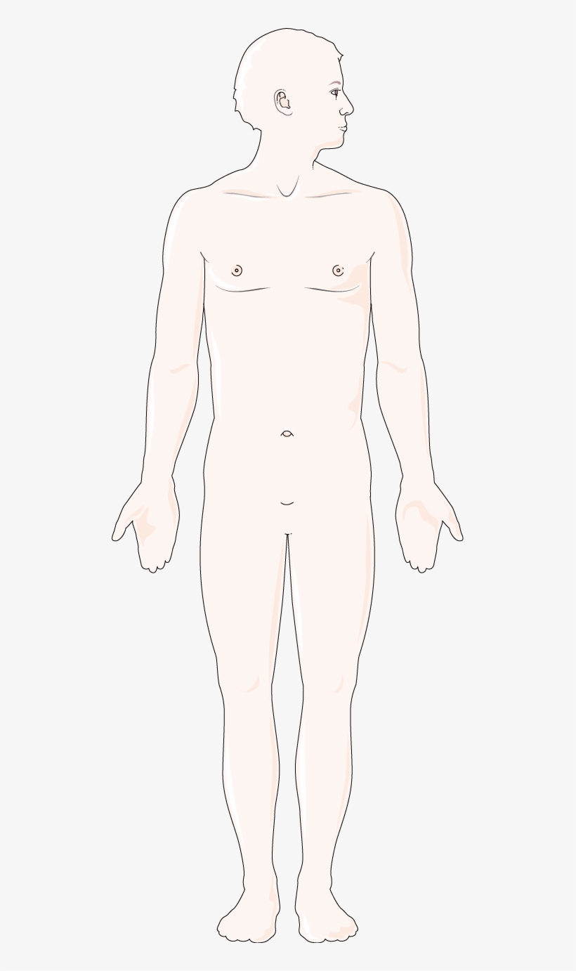 Arterial Circulation - Aconite, transparent png download