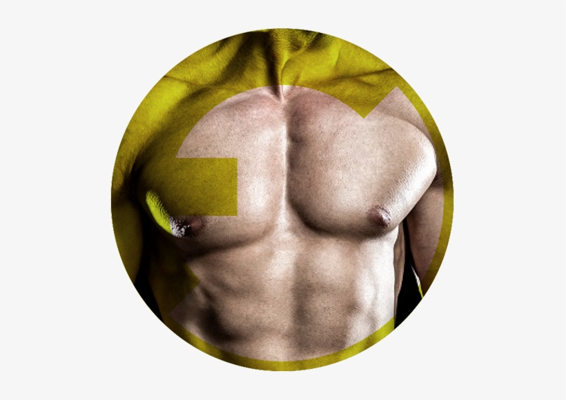 Fitness - Flex Fitness Equipment, transparent png download