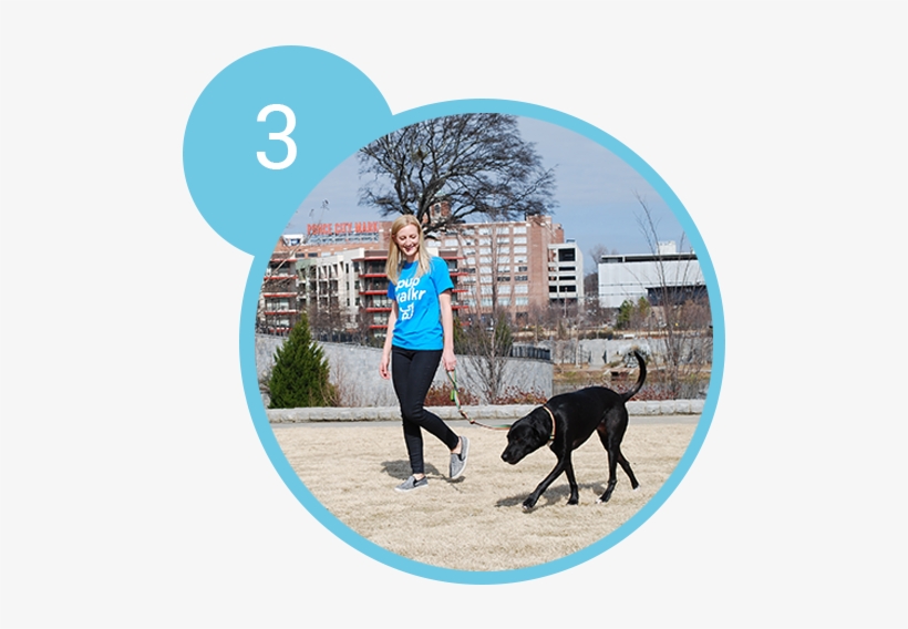 Step-3 - Dog Walking, transparent png download