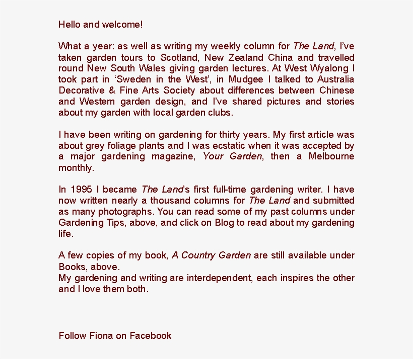 Hello And Welcome What A Year - Chinese Language, transparent png download