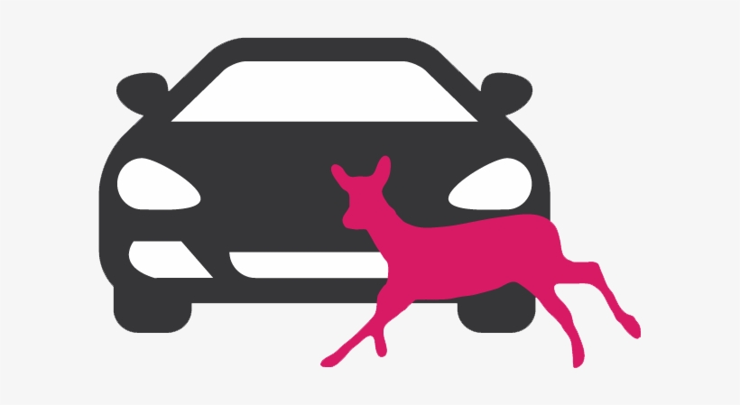 An Unknown Number Of Animals, Between Tens And Hundreds, - Road Kill Clipart, transparent png download