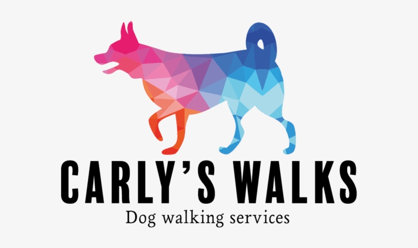 Looking For Dog Care And Walking Services In Woking, - Carly's Walks, transparent png download