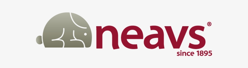 Animal Testing And Experiments, transparent png download