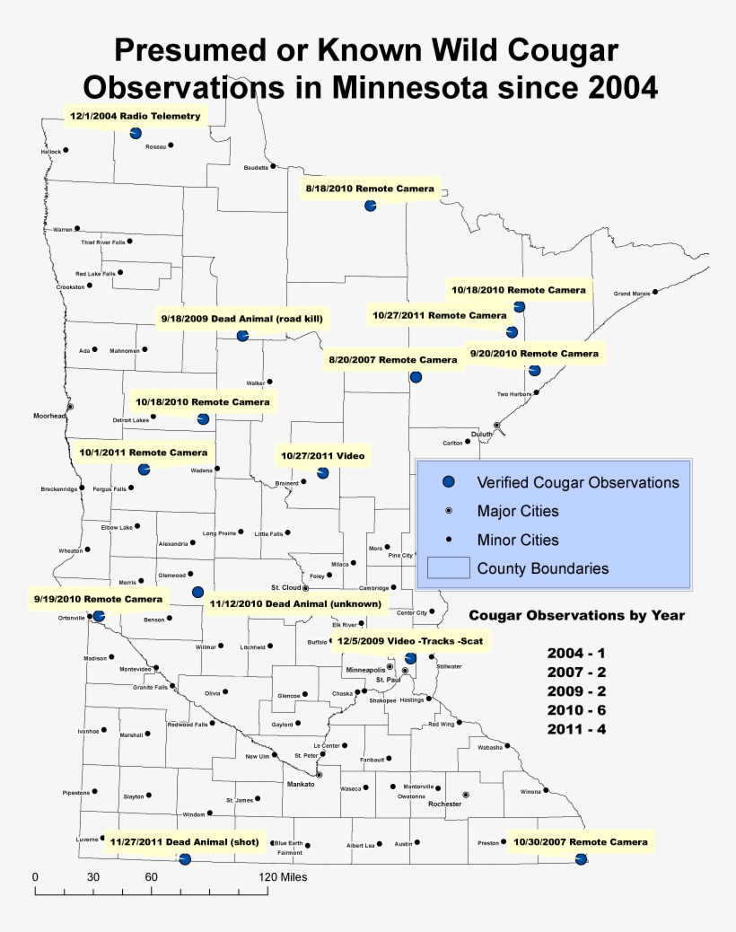 Click To Enlarge - Diagram, transparent png download