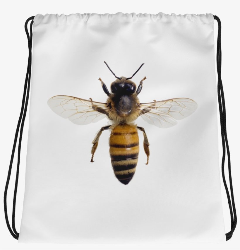 Honey-bee Print Drawstring Bag - Honeybees Thrive By Heather Swan, transparent png download