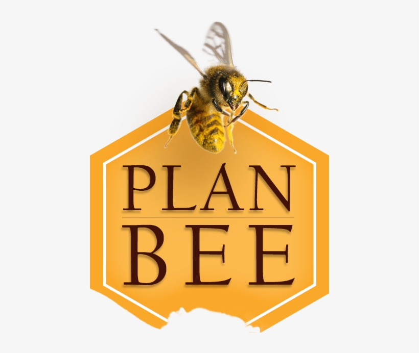 Bee - Bee Plan, transparent png download