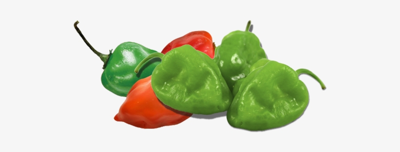 Delight The Palate Of Your Customers Including Your - Habanero, transparent png download