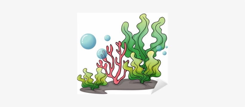 Under The Sea Plants Cartoon Png Image Transparent Png Free Download On Seekpng