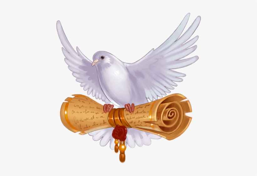 Illus Pigeon - Pigeons And Doves, transparent png download