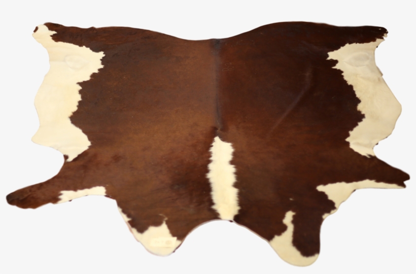 Trophy Room Collection - Chocolate, transparent png download