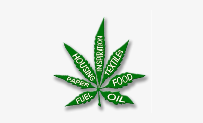 Cannabis Or Calamus What's Really In The Bible - Drugs, transparent png download