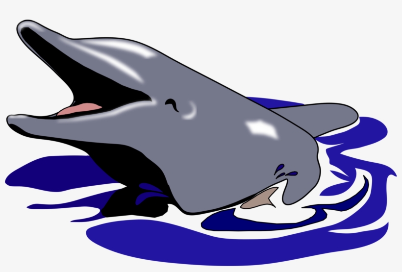 Oceanic Dolphin Drawing Common Bottlenose Dolphin Computer - Dolphin, transparent png download