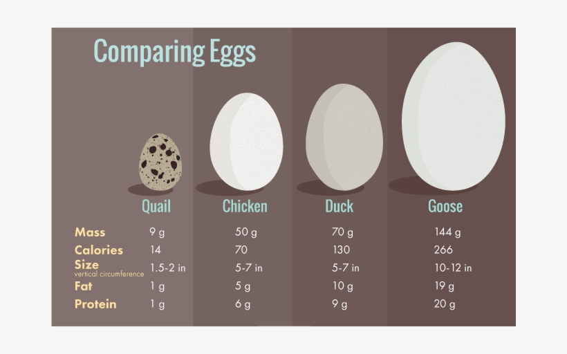 Egg Carton Labels - Desi Eggs Vs Broiler Eggs, transparent png download
