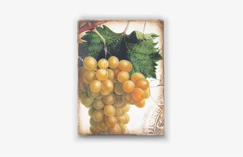 Grapes No Image Available - Sid Dickens, transparent png download