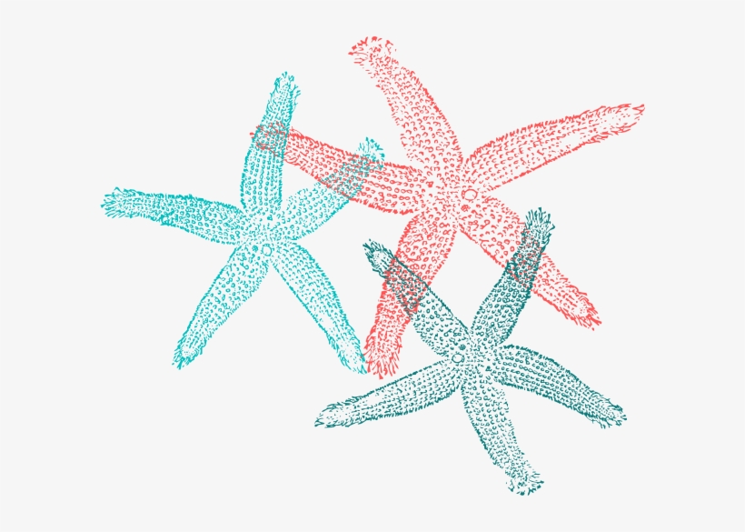 Multiple Starfish Clip Art At Clker - Private Listing For Pam 2 Pair ...