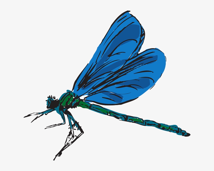 Dragonfly, Flying, Color, Wings, Art, Insect, Fly - Dragonfly Clipart, transparent png download