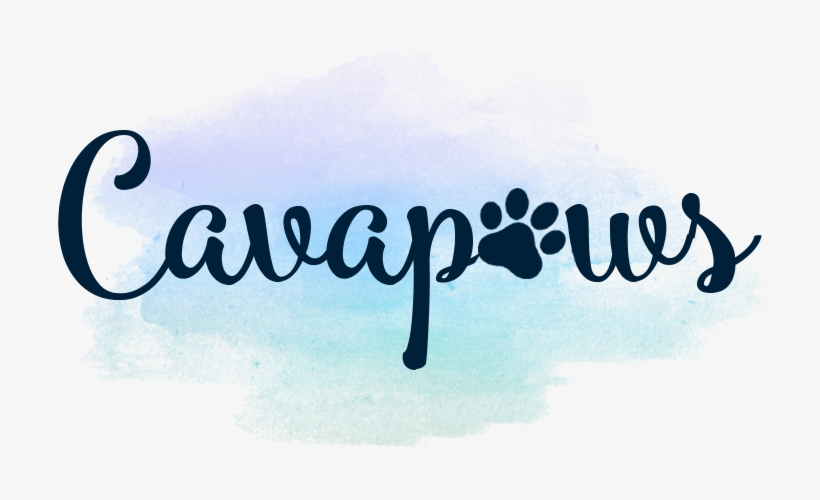 Calligraphy, transparent png download