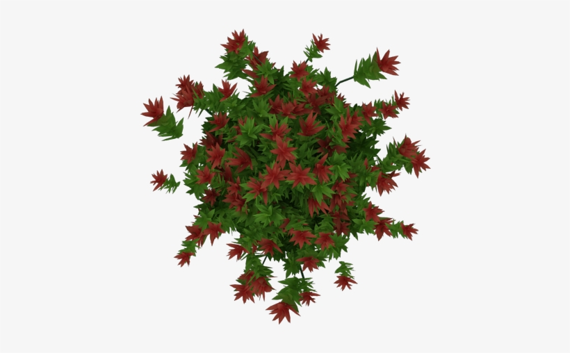 Flores 2 - Arbustos Con Flores Con Fondo Blanco, transparent png download