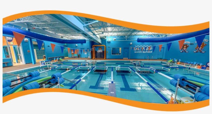 Bear Paddle Swim School Is A Month To Month Year Round - Bear Paddle Swim School Orland Park, transparent png download