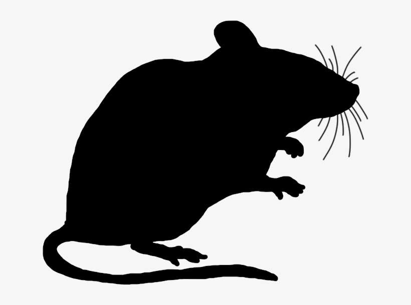 Shaow Clipart Rat - Mouse Clipart Silhouette, transparent png download