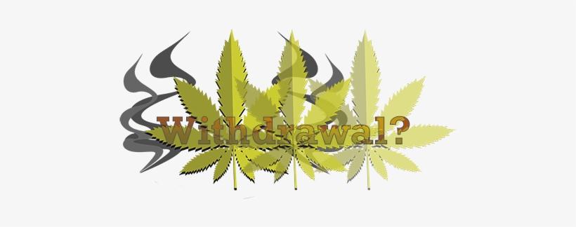Withdrawal From Marijuana - Drug Withdrawal, transparent png download