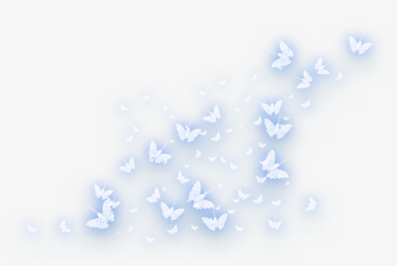 Report Abuse - Butterfly, transparent png download