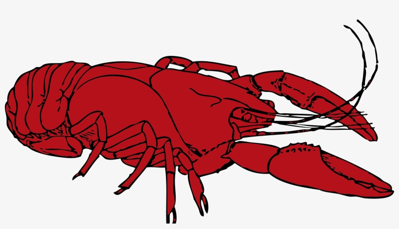 Crayfish Clipart Crustaceans - Crayfish Clipart, transparent png download
