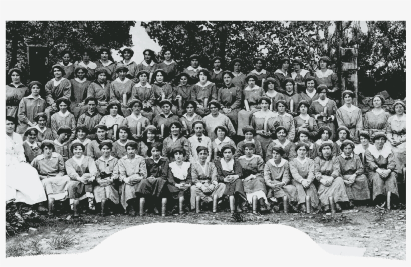 Shell Factory Grad - Audience, transparent png download