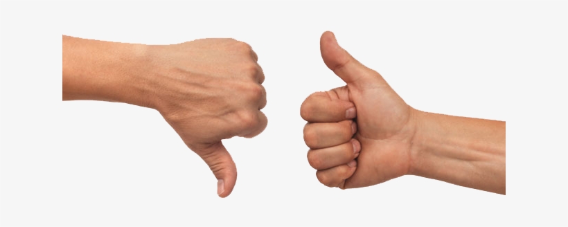 What Could We Expect From Google After Penguin - Hand Thumbs Up Png, transparent png download