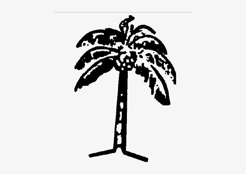 Cocoanut Clipart Election Symbol 2014 - Election Symbols Coconut Tree, transparent png download