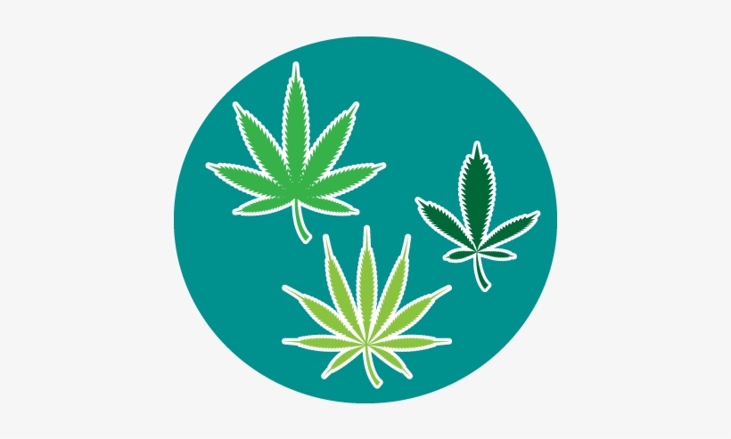 Three Cannabis Leaves Check The Strain And Strength - Emblem, transparent png download