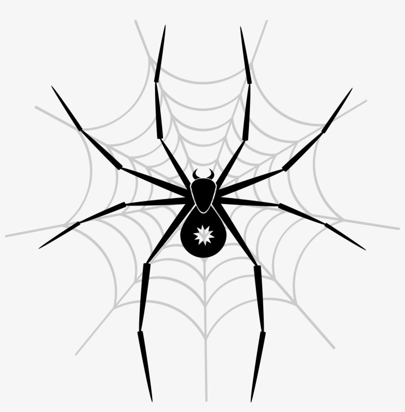 Spider Png Image - Spider Web Twin Duvet, transparent png download