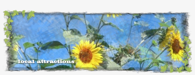 Stoney Ridge Farm & Winery, transparent png download