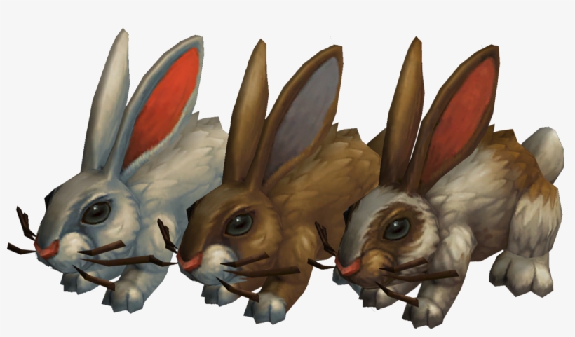 Domestic Rabbit, transparent png download