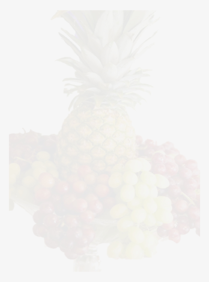 Corn & Shrimp - Sketch, transparent png download