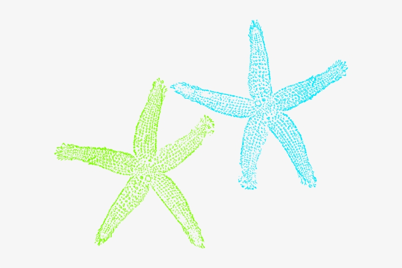 Turquoise Starfish Clip Art At Vector Clip Art Online - Fish Clip Art, transparent png download