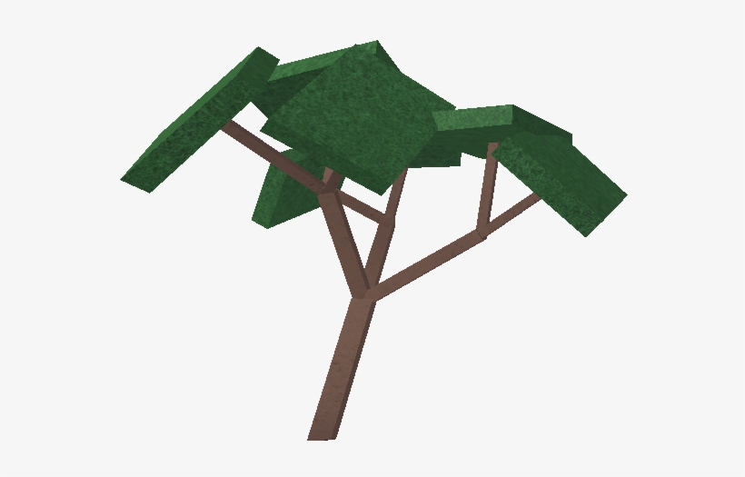 Oak, transparent png download